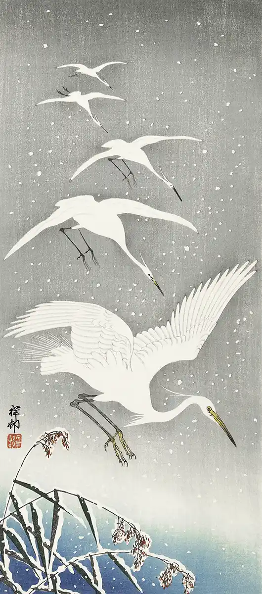 White Birds in Snow